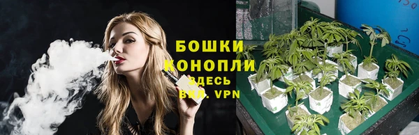 амф Бронницы