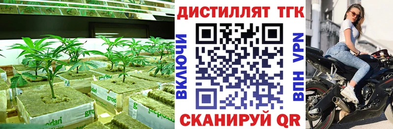 магазин    Воткинск  ТГК Wax 