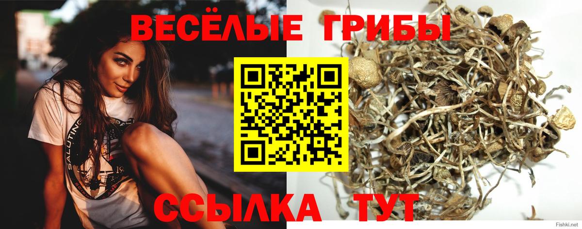 Галлюциногенные грибы ЛСД Воткинск